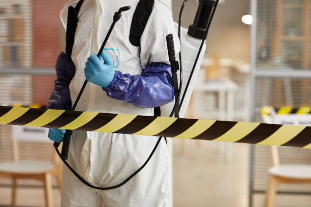 Professional Sewage Cleanup technician working in Quinton, NJ
